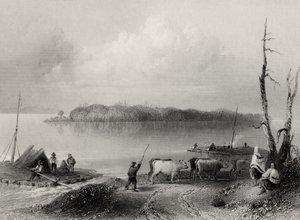 Navy Island, Niagara River, Ontario, Canada, engraved by Charles Coulson by William Henry Bartlett