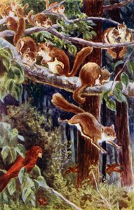 How delightful it was to watch them frolicking about!