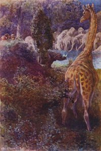 Illustration for The Gorilla Hunters by R M Ballantyne
