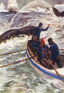 Illustration for The World of Ice or the Whaling Cruise of The Dolphin