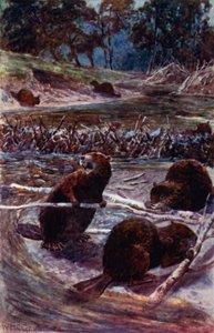 They Build a Dam Across the Stream