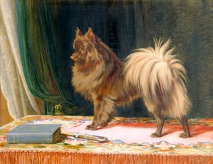 Portrait of Prairie Prince