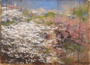 Field of Blossoms by William Henry Holmes