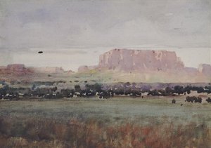 In the Plateau Country, Colorado