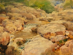 The Placid Potomac