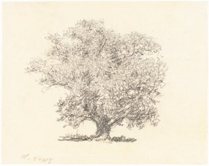 A Tree in Full-Leaf by William Henry Hunt
