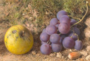 Apple, Grapes and a Cob-Nut