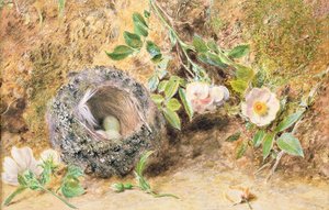 Still Life with Chaffinch Nest