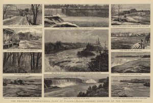 The Proposed International Park at Niagara Falls, Present Condition of the Neighbourhood