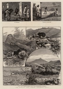 The Wynaad Gold Fields, Southern India by William Henry James Boot