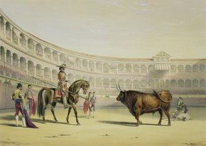 Picador Challenging the Bull