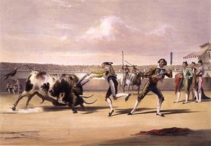 The Banderillas