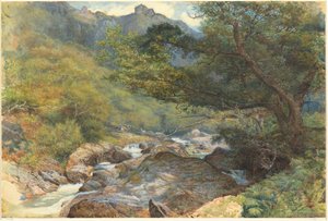 On the East Lyn, North Devon by William Henry Millais
