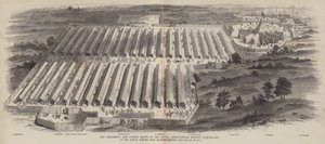 The Implement and Cattle Shows of the Royal Agricultural Society of England, at the Annual Meeting held at Northampton, 20, 21, 22 July 1847