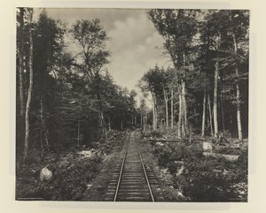 Ganoga Lake Branch, L.V.R.R. by William Herman Rau