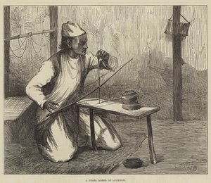 A Pearl Borer of Lucknow