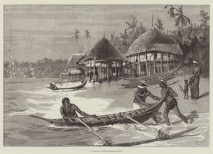 A Village in the Nicobar Islands