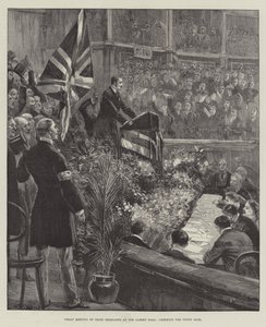 Great Meeting of Irish Delegates at the Albert Hall, cheering the Union Jack by William Heysham Overend