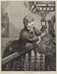 Hanging up the Mistletoe