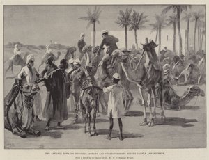 The Advance towards Dongola, Artists and Correspondents buying Camels and Donkeys