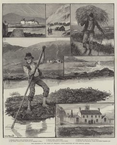 The Distress in the West of Ireland