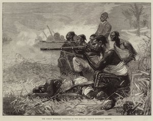 The Great Military Disaster in the Soudan, Native Egyptian Troops