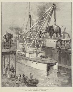 The Looshai Expedition, Shipping Elephants on Board the Simla at Calcutta