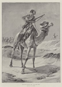 The Native Egyptian Army, the Camel Corps
