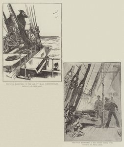The Naval Manoeuvres