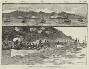 The Naval Manoeuvres