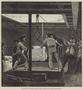 The Prince of Wales