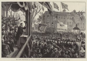 The Ulster Demonstration at Belfast, Procession passing Mr Balfour, and burning of the Home Rule Bill