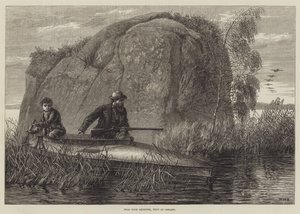 Wild Duck Shooting, West of Ireland (engraving)