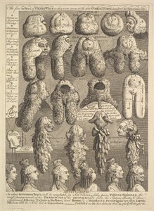 The Five Orders of Periwigs, 1761 by William Hogarth