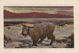 The Scapegoat