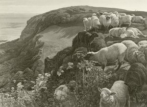 On the Hillside by William Holman Hunt