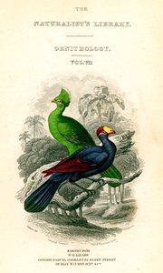 The Naturalist