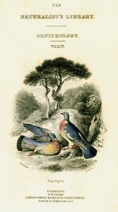 The Naturalist