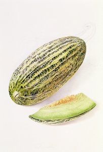 The Damsha Marrow