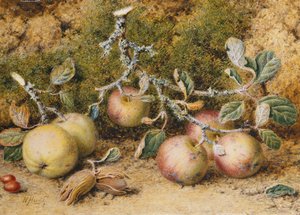Still Life with Apples, Hazelnuts and Rosehips