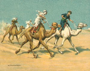 Races Historic and Modern, Camel Races by William Hounsom Byles