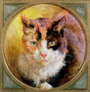 A Head Study of a Tortoiseshell Cat