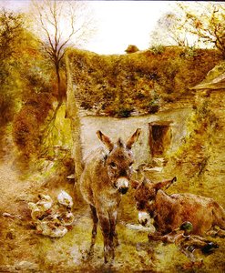Donkeys and Ducks in a Farmyard
