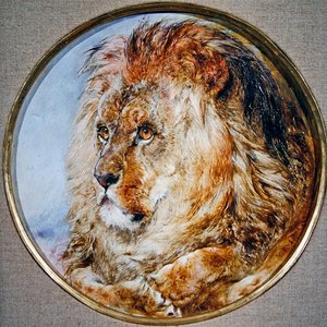 Portrait of a Lion by William Huggins