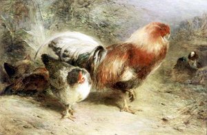 Poultry