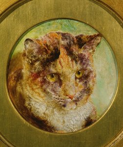Study of a Tortoiseshell Cat