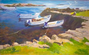 Rocky harbour