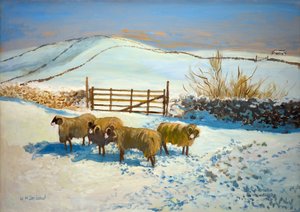 Snow in the Yorkshire Dales