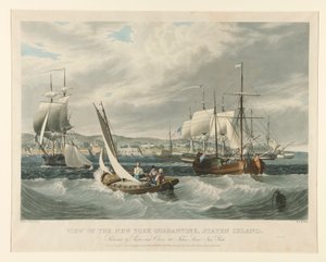 View of the New York Quarantine, Staten Island