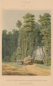 Summer--A Road Accident. A Glimpse Through an Opening of the Primitive Forest. Thornville, Ohio by William James Bennett after George Harvey